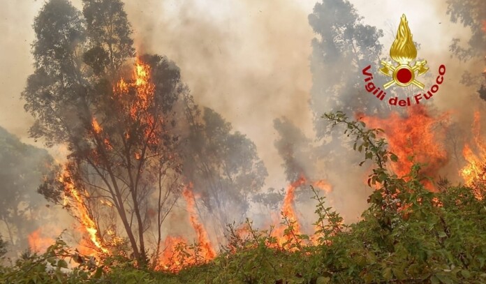 E' ora di agire costruendo una cultura della prevenzione per i rischi ambientali