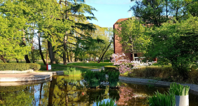 Facebook Milano 3 Community