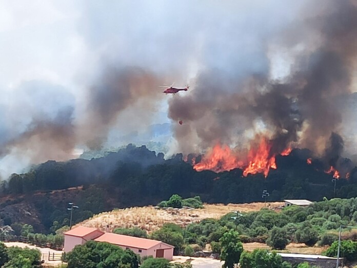 sardegna_incendio_24072021