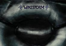 Wakestorm: il ritorno della tempesta groove metal!